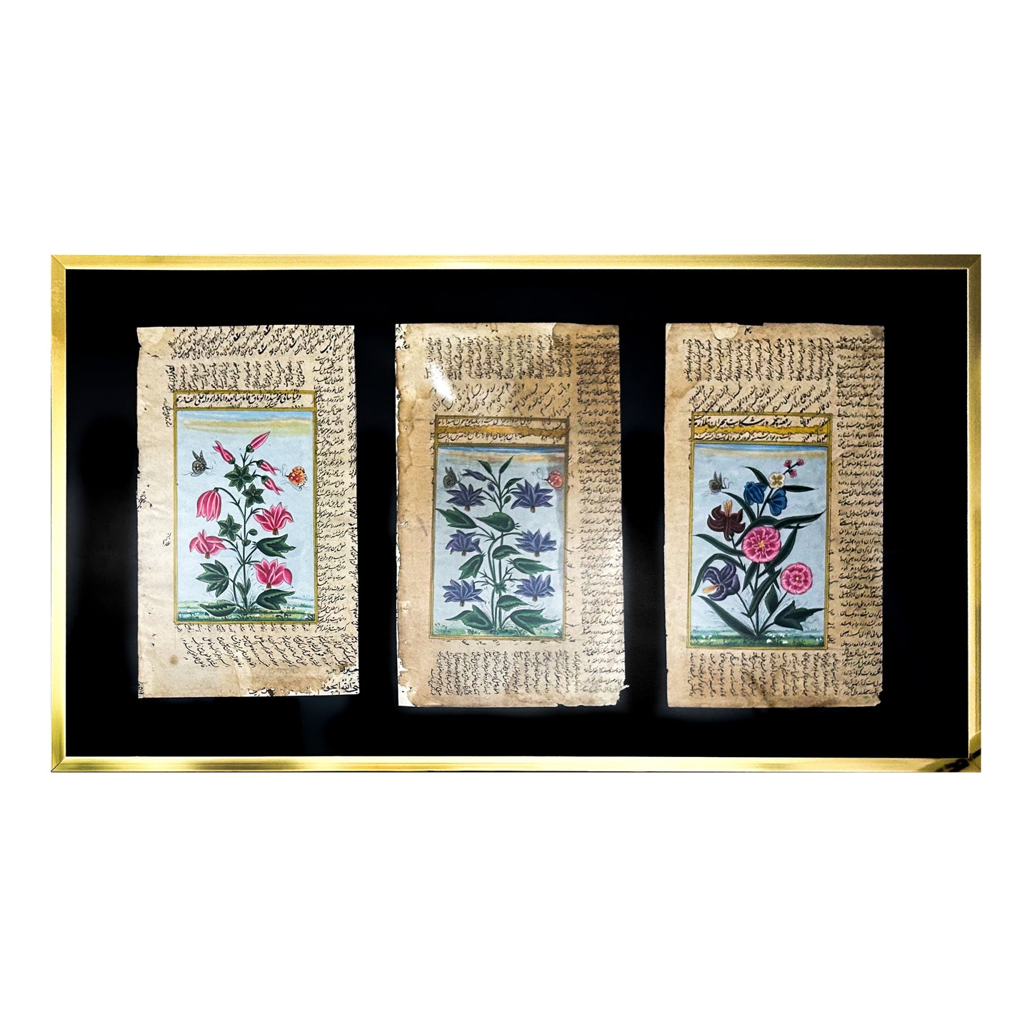 Ottoman Era Botany Triptych
