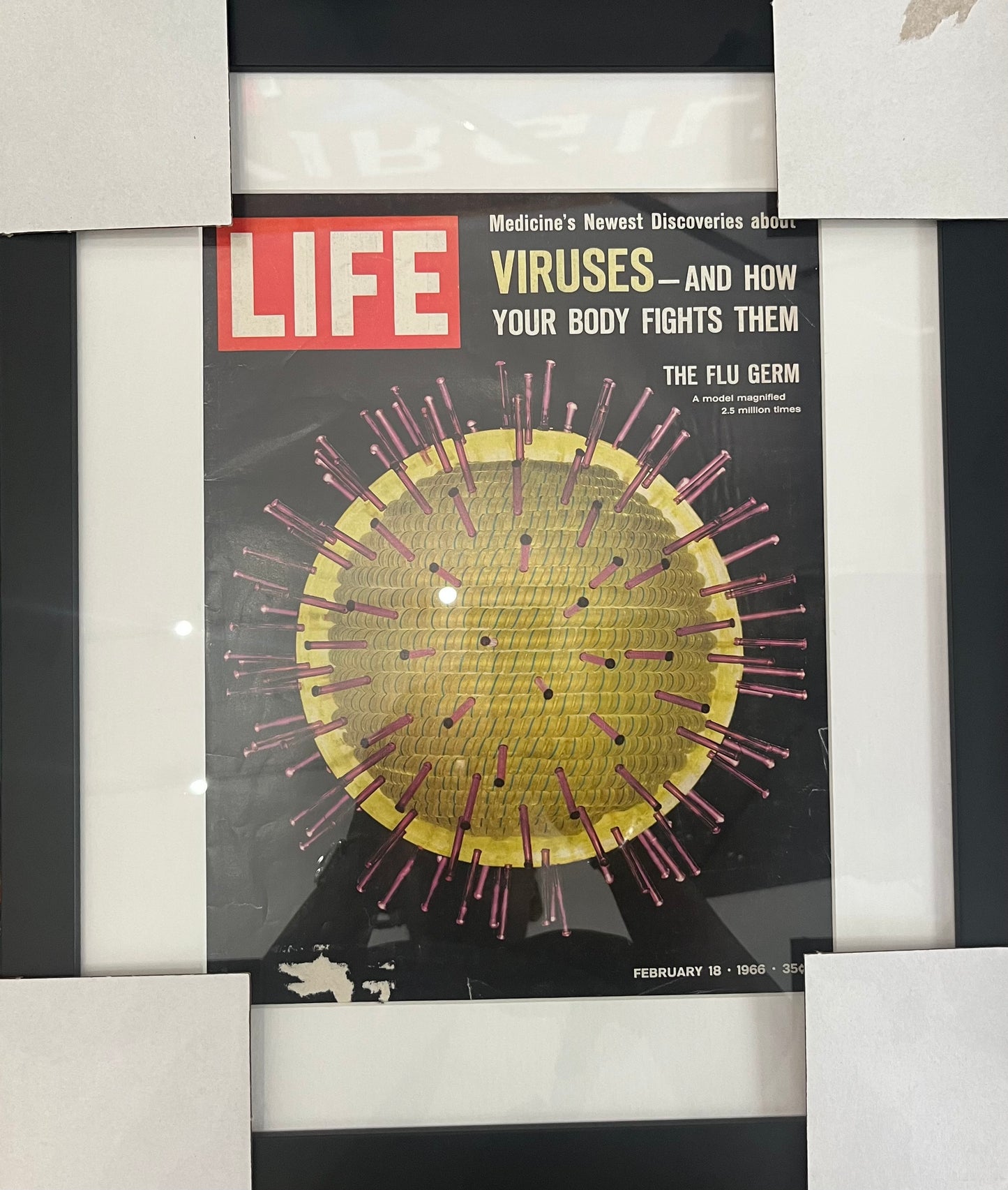 1966 VIRUSES