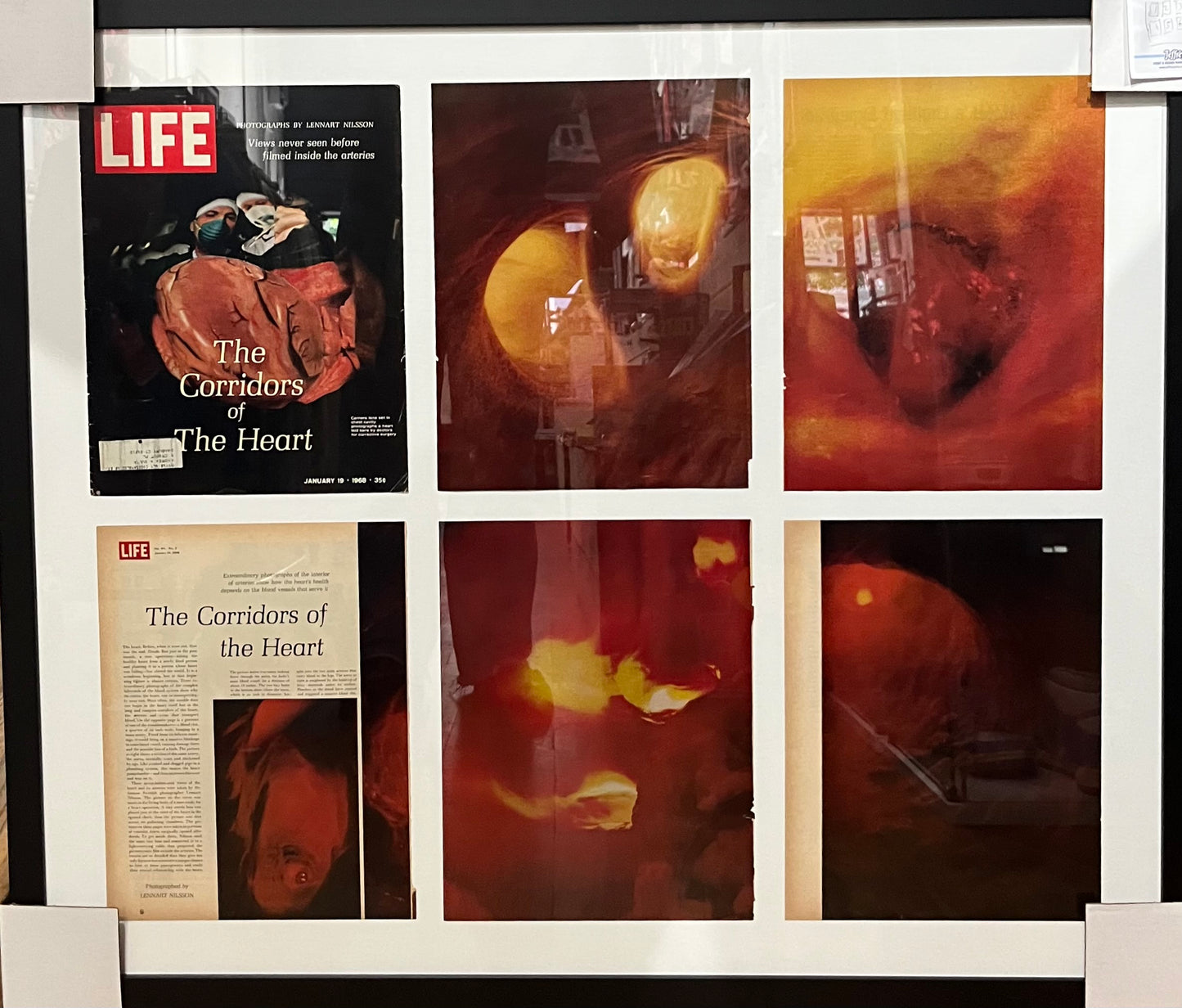 1968 Corridors of the Heart