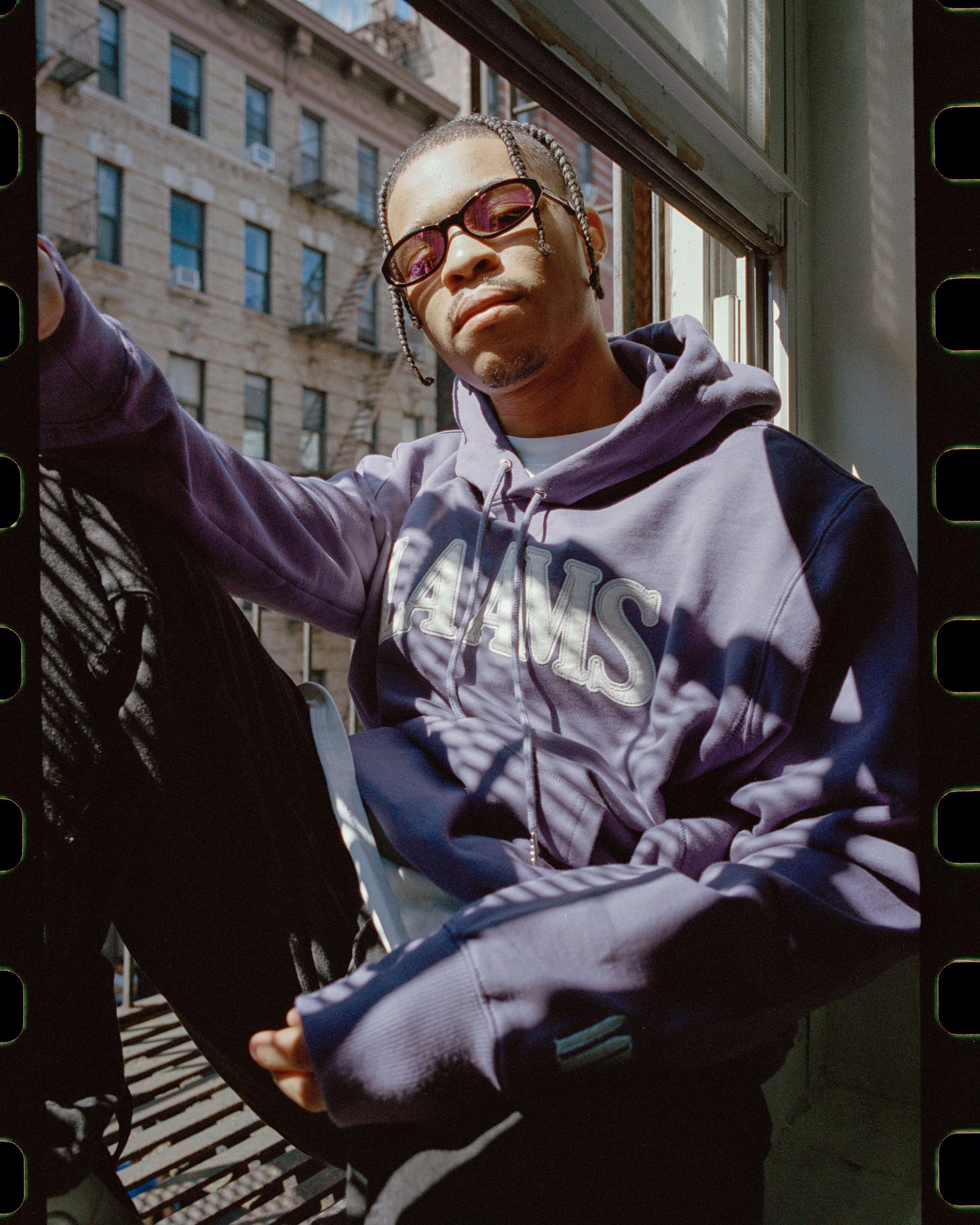 LAAMS Collegiate Terry Hoodie (Purple)