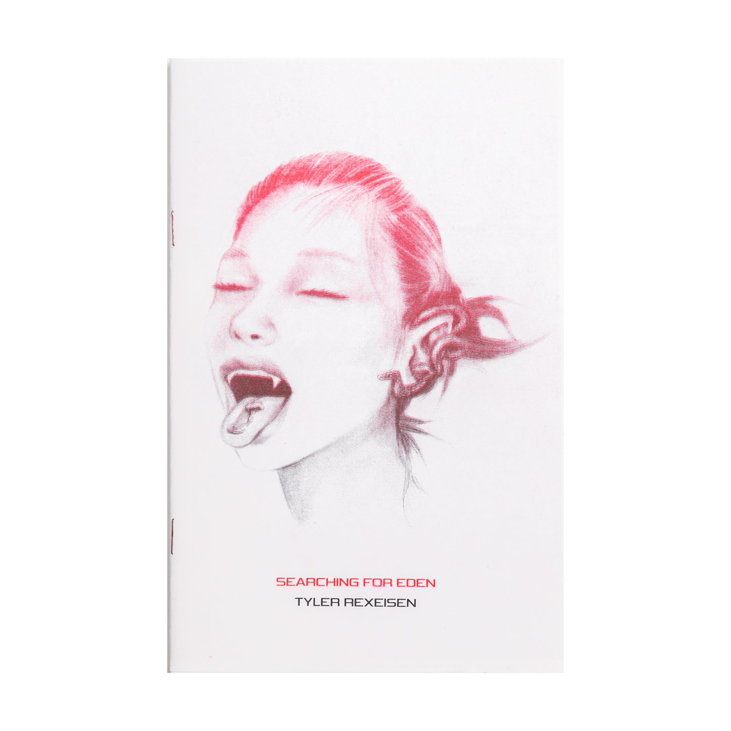 T-Rex Searching For Eden Risograph Zine