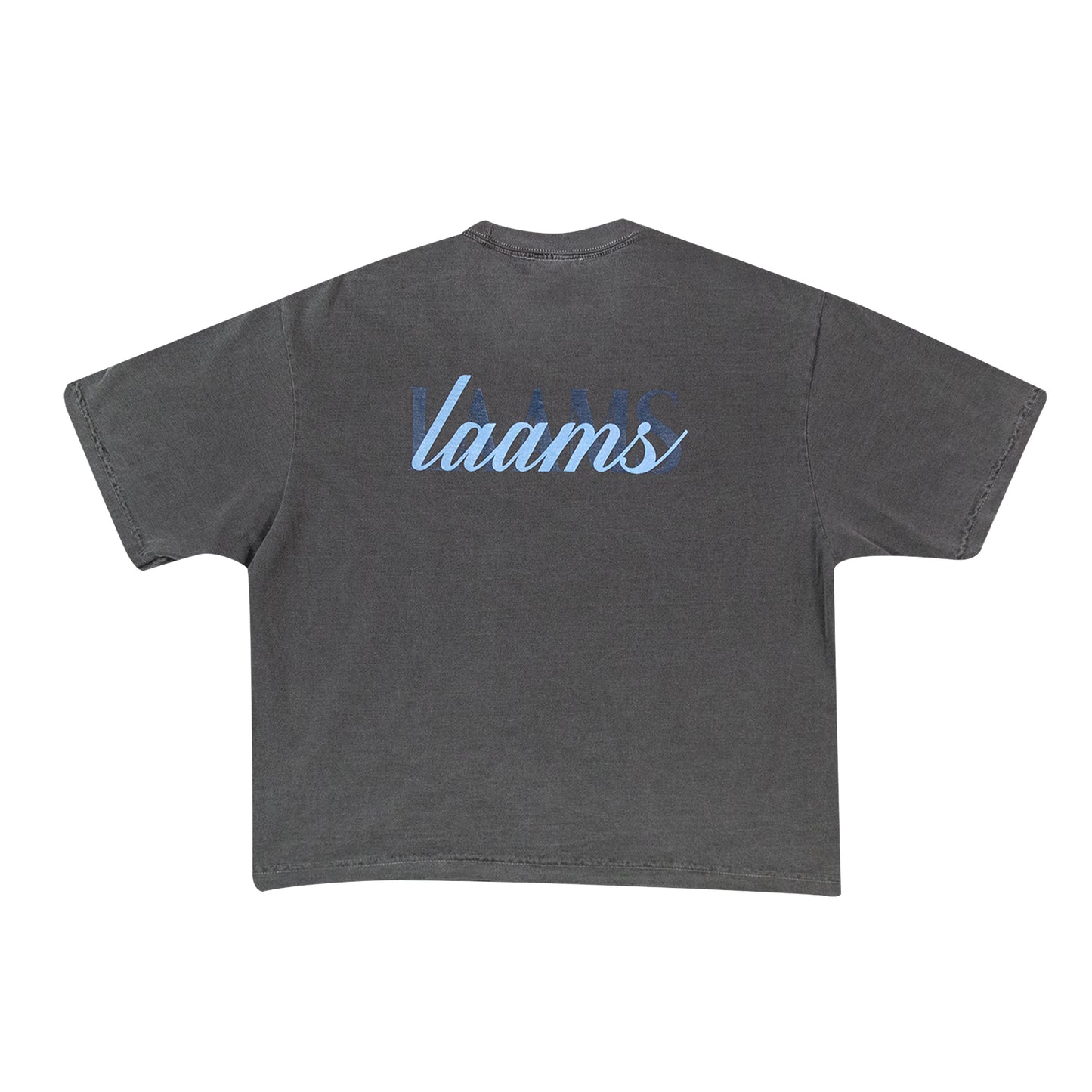 Script Logo Tee (Grey)