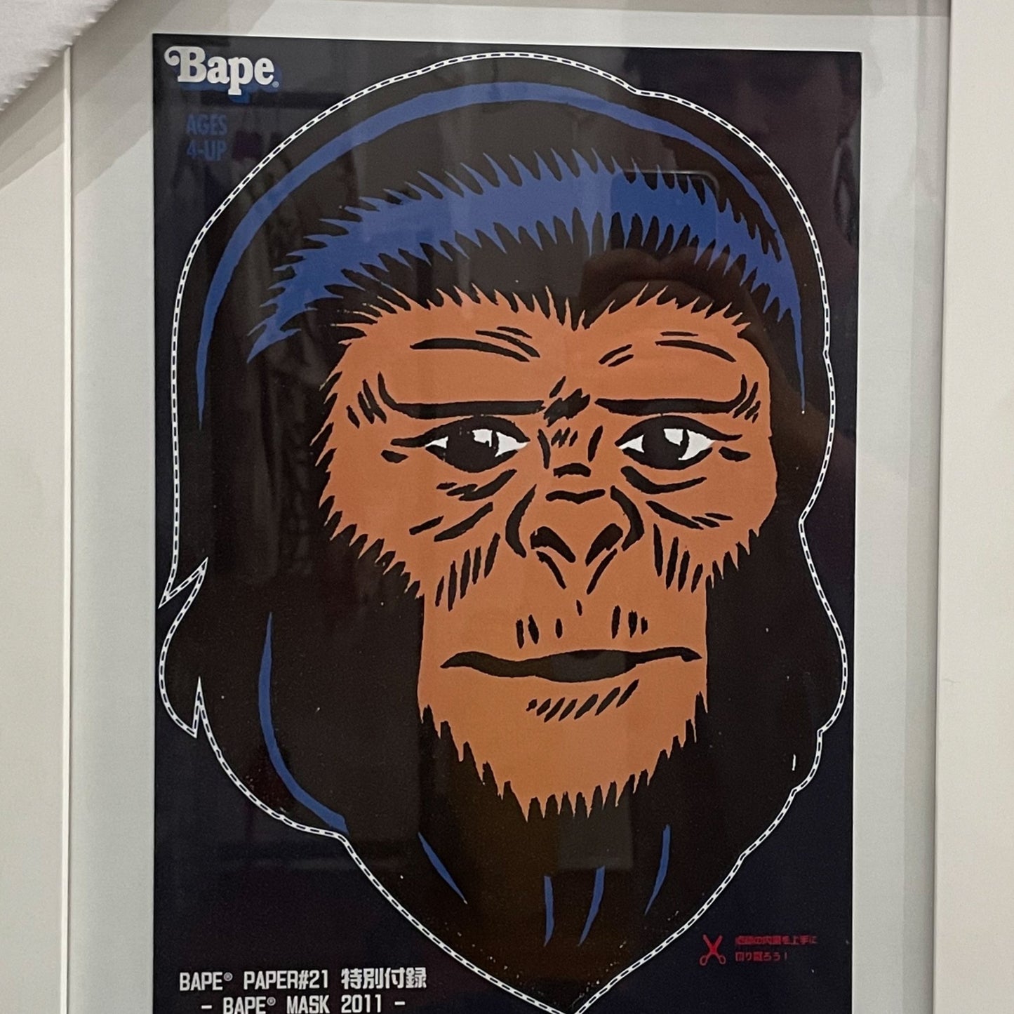2011 BAPE MASK