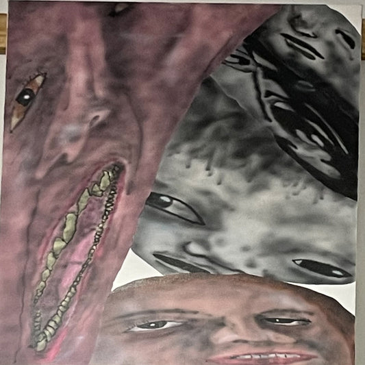 Distorted Faces by Gabe Rozzell