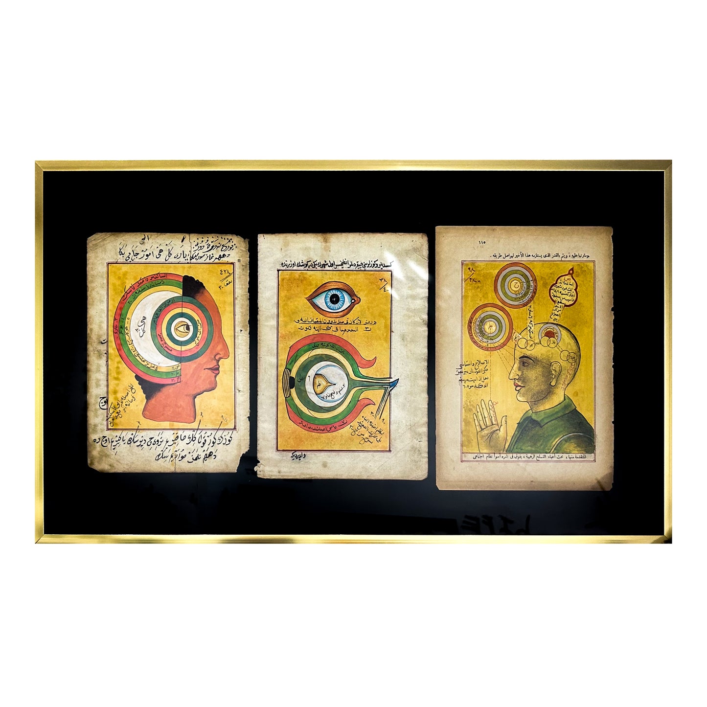 Ottoman Era Medical Book Page Triptych