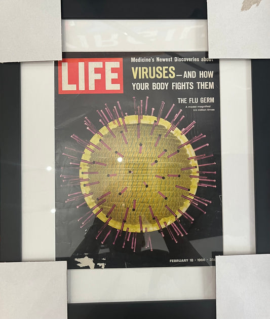 1966 VIRUSES