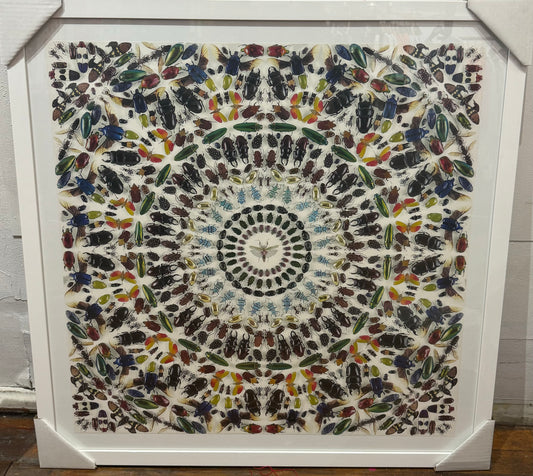 "Nessus" Gravure Print by Damien Hirst (Wall Panel)