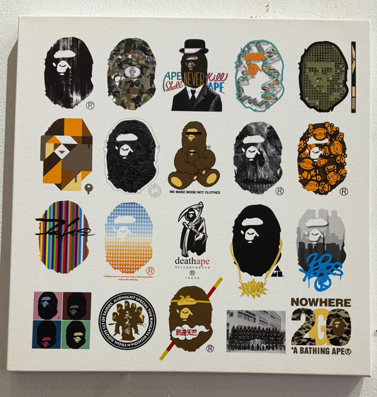 2013 BAPE 20 Canvas (Stash, Futura, Kanye, Lavelle, etc.)