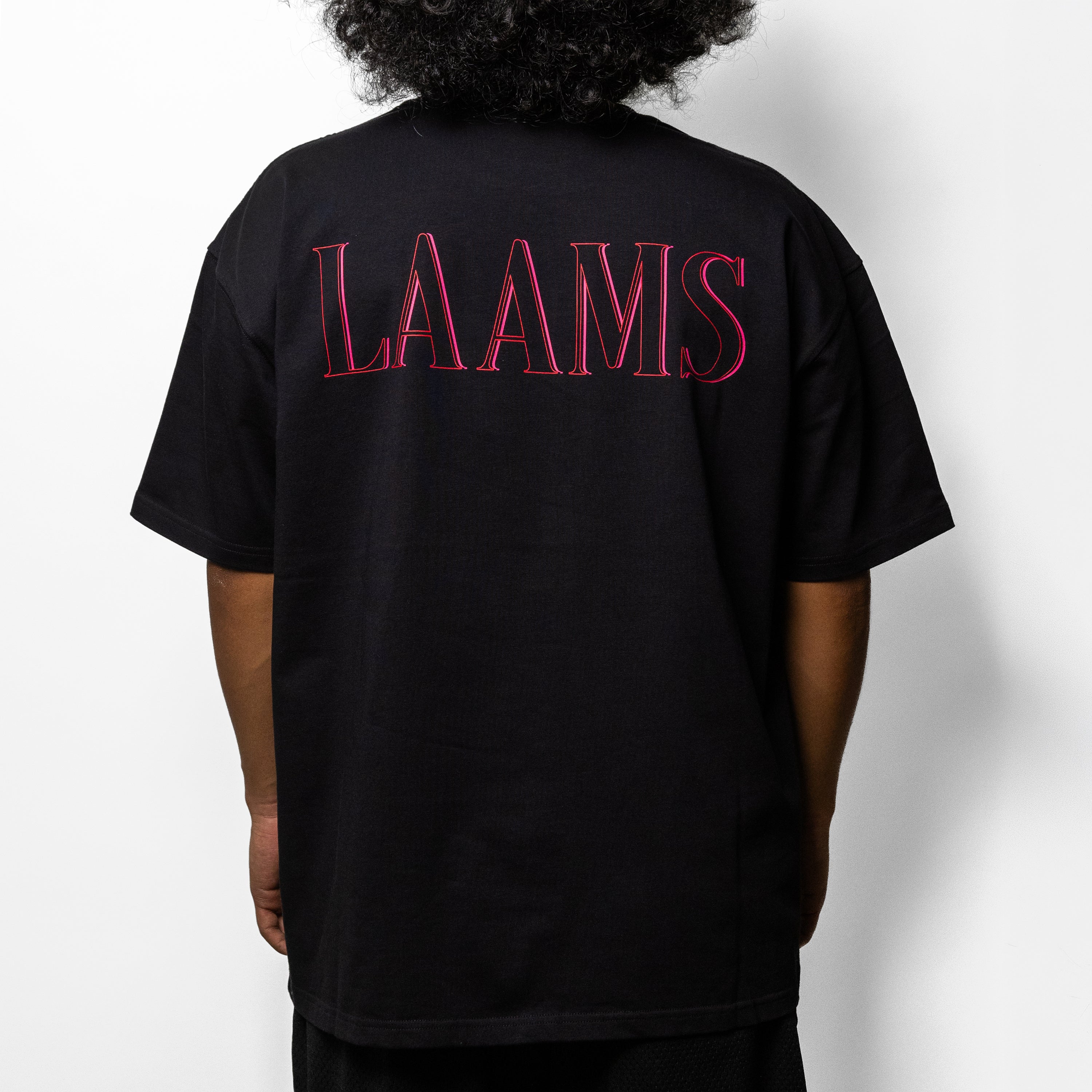 LAAMS
