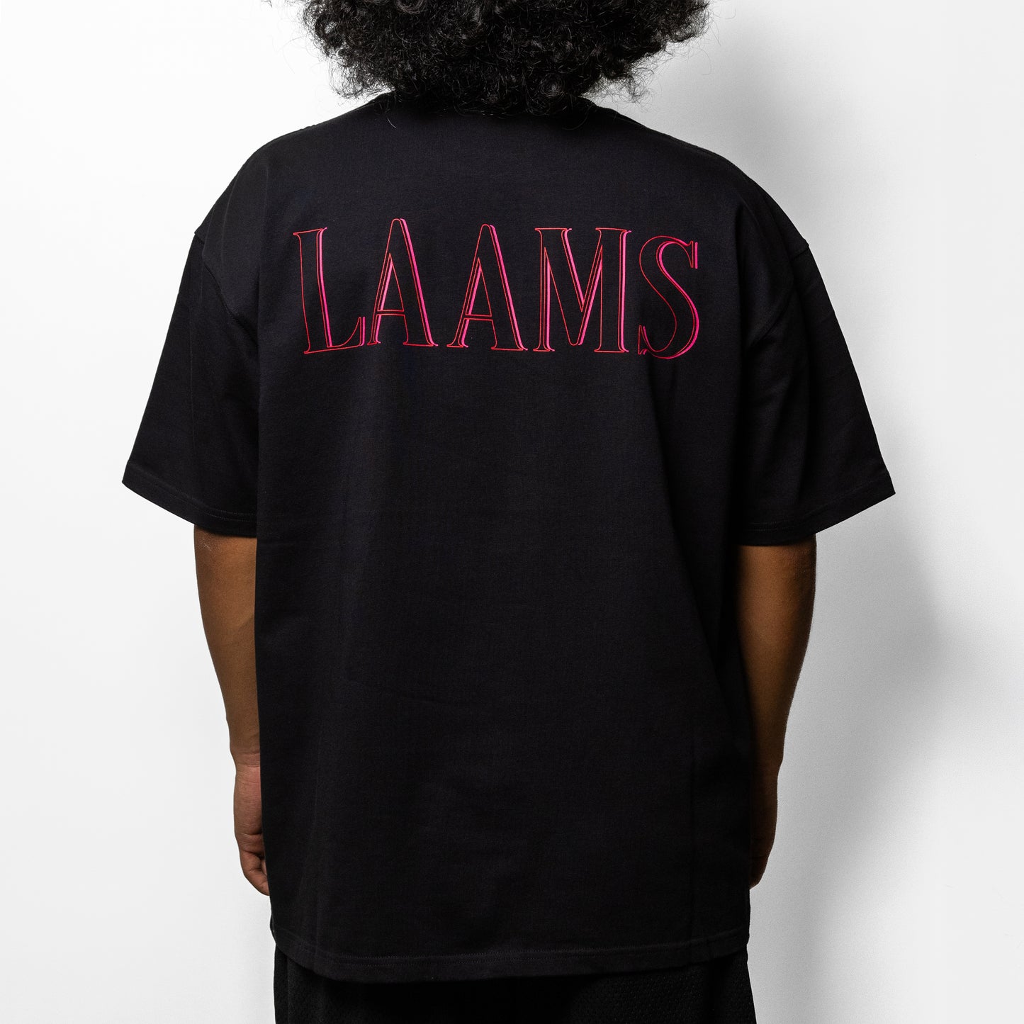 LAAMS Chalet T-Shirt