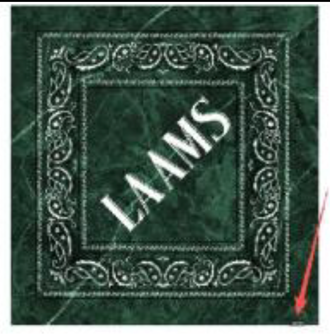 LAAMS MARBLE SILK BANDANA