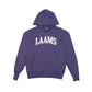 LAAMS Collegiate Terry Hoodie (Purple)