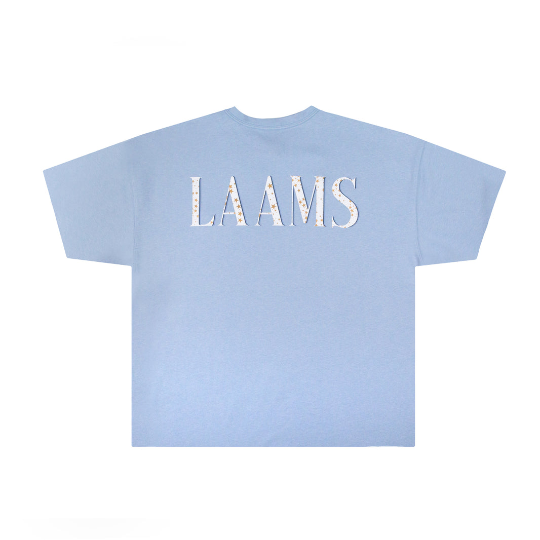 LAAMS – Laams