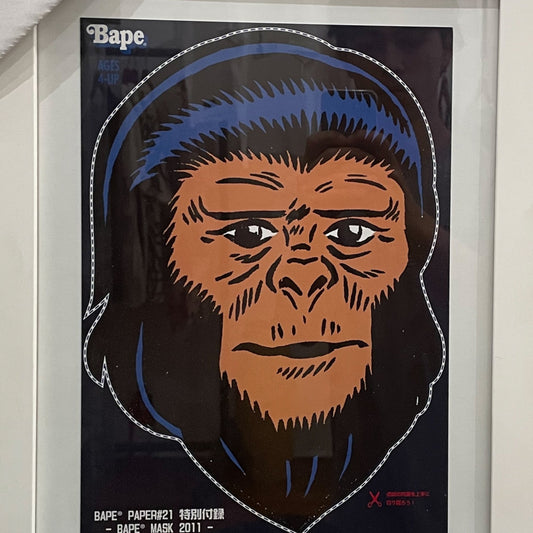 2011 BAPE MASK