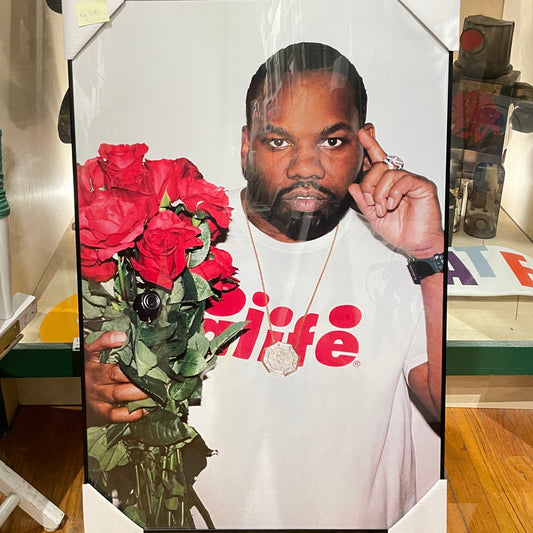ALIFE Raekwon Poster